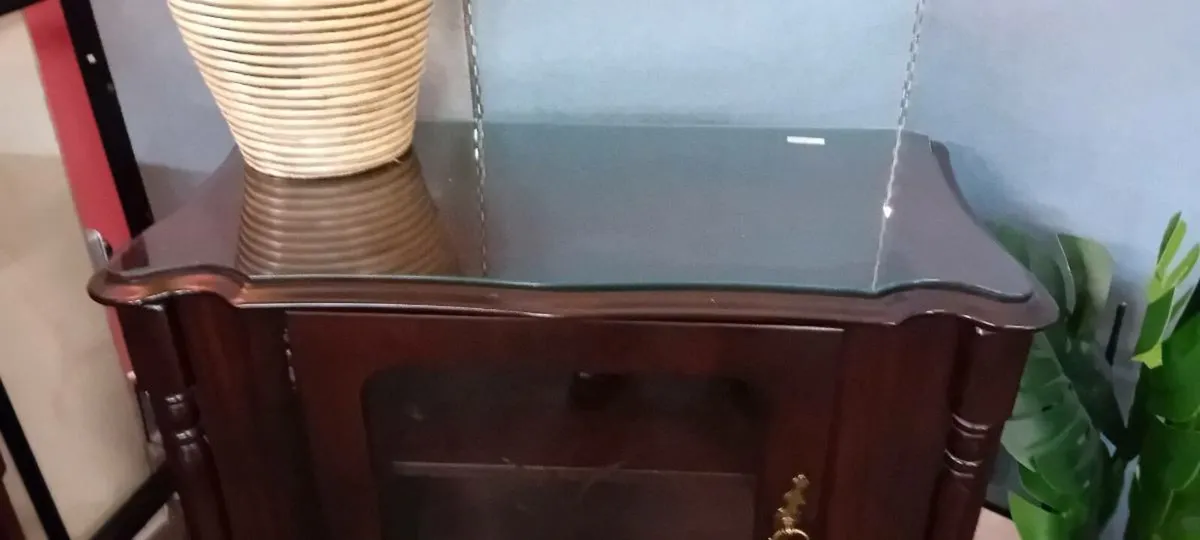 Modern Mahogany Media Cupboard - Image 2