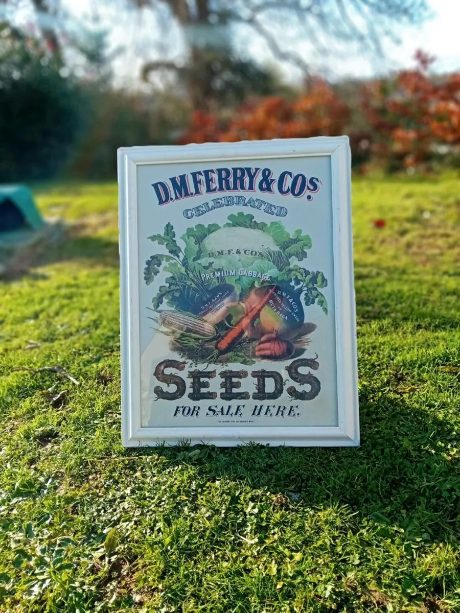 D.M Ferry & Co Vintage Sign - Image 1