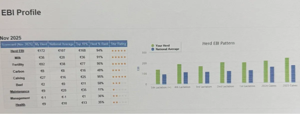 Strong High EBI HOFR In Calf Heifers - Image 2