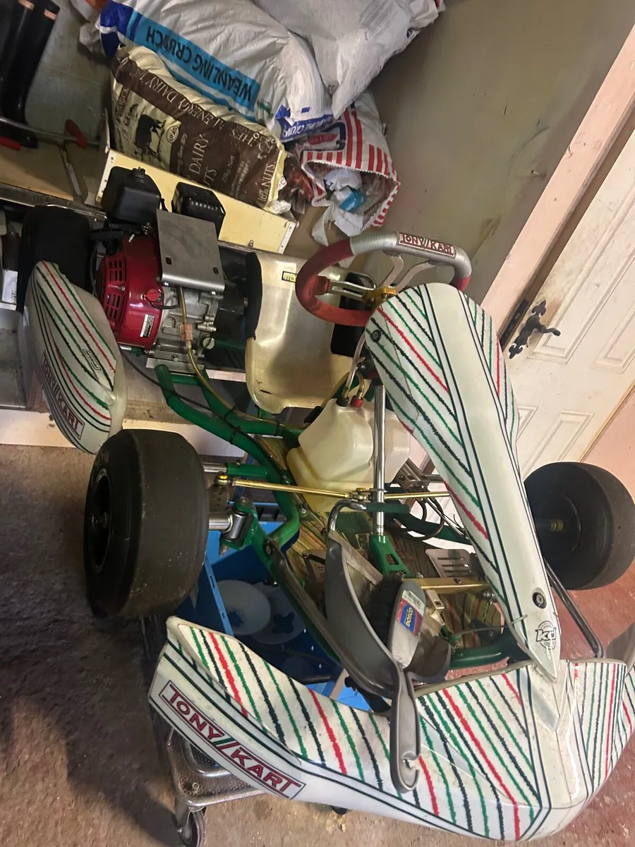 Tony Go Kart - Image 1