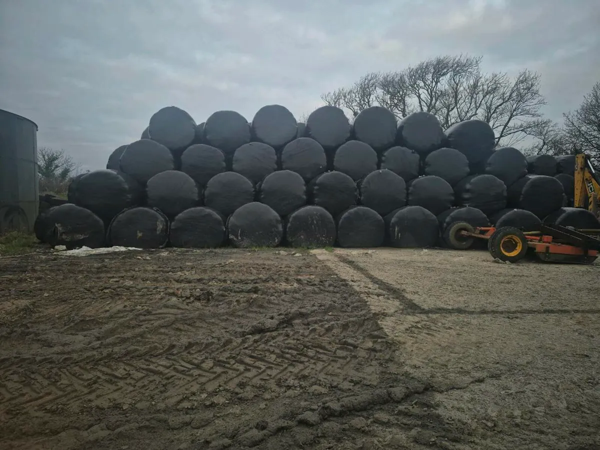 Silage