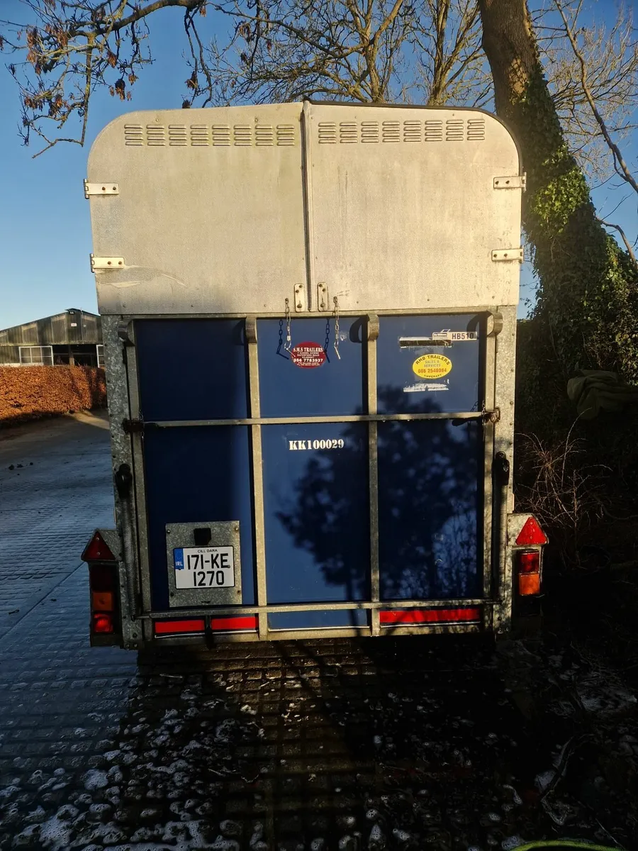 Ifor Williams 510 Horsebox - Image 4