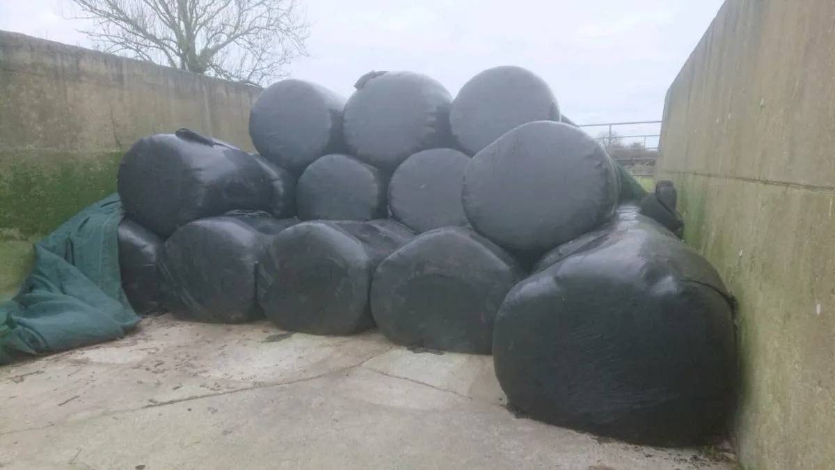 Bale Silage - Image 1