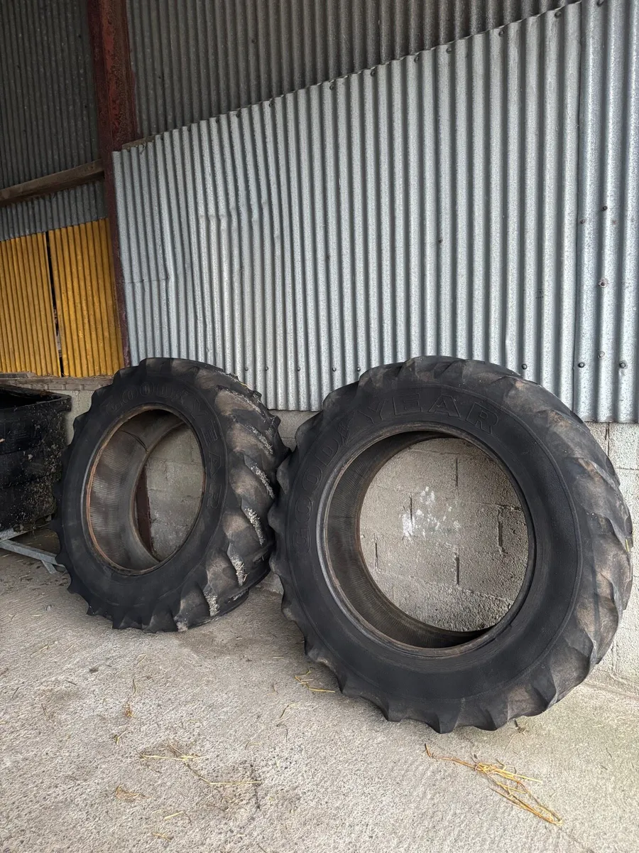 Yard clear out - Image 1