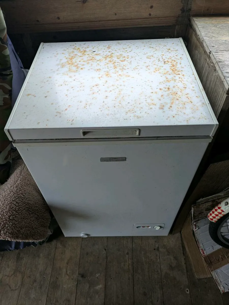 99l chest freezer - Image 4