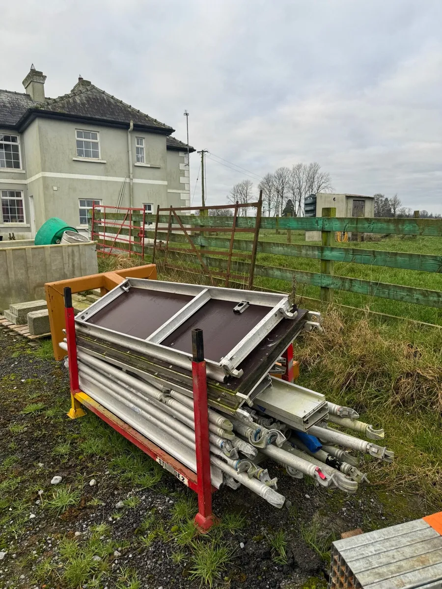 Yard clear out - Image 1