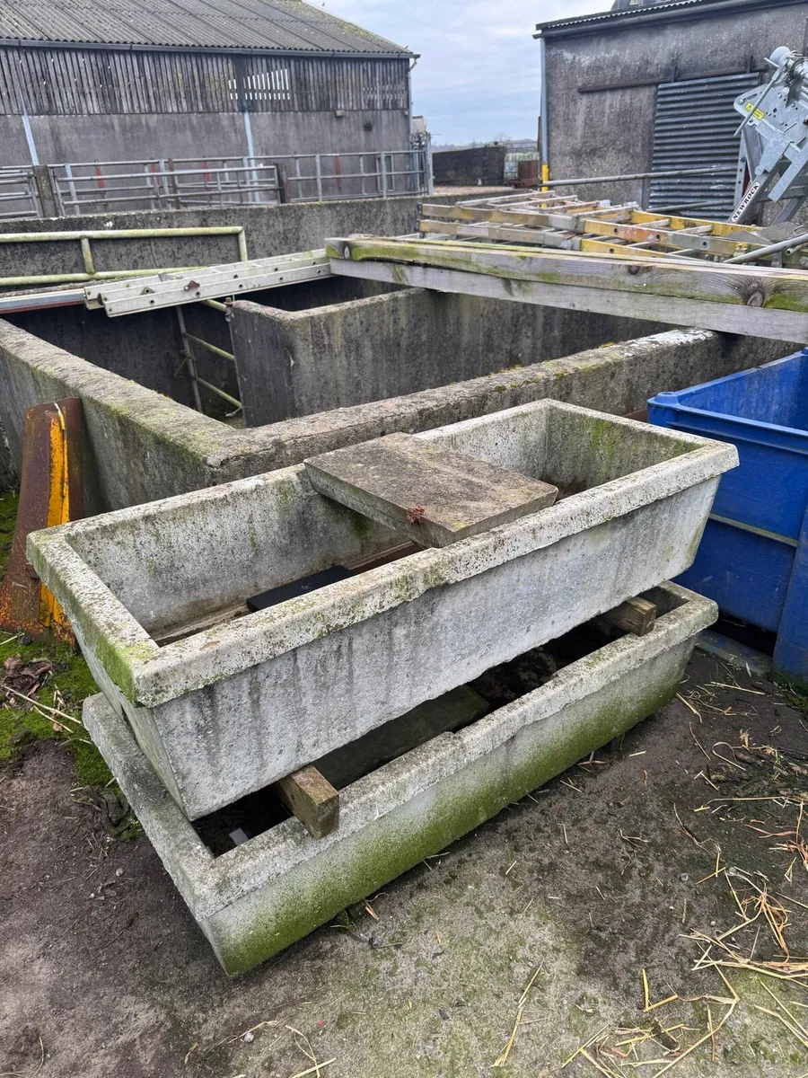 Yard clear out - Image 2