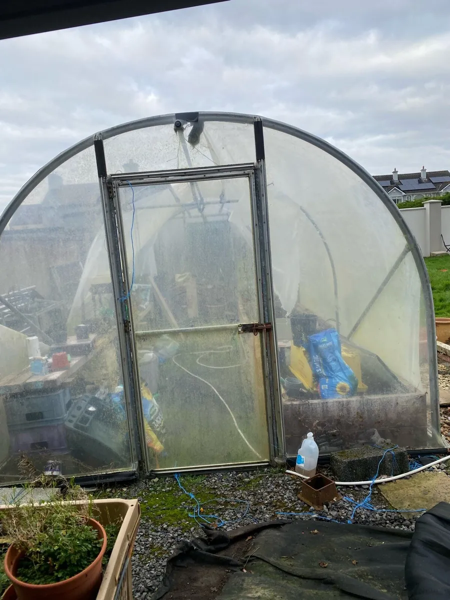 Polytunnel - Image 1