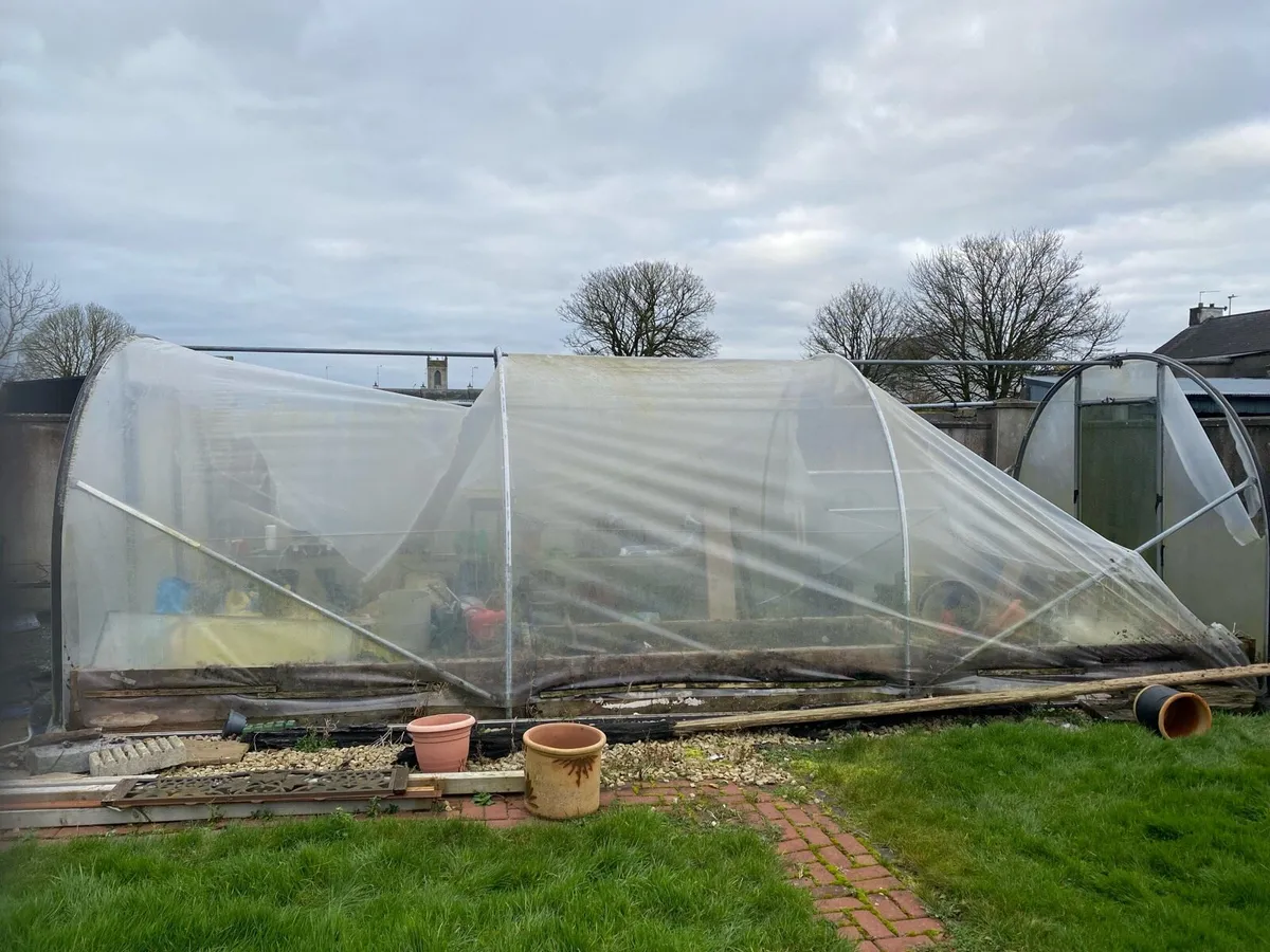 Polytunnel - Image 2