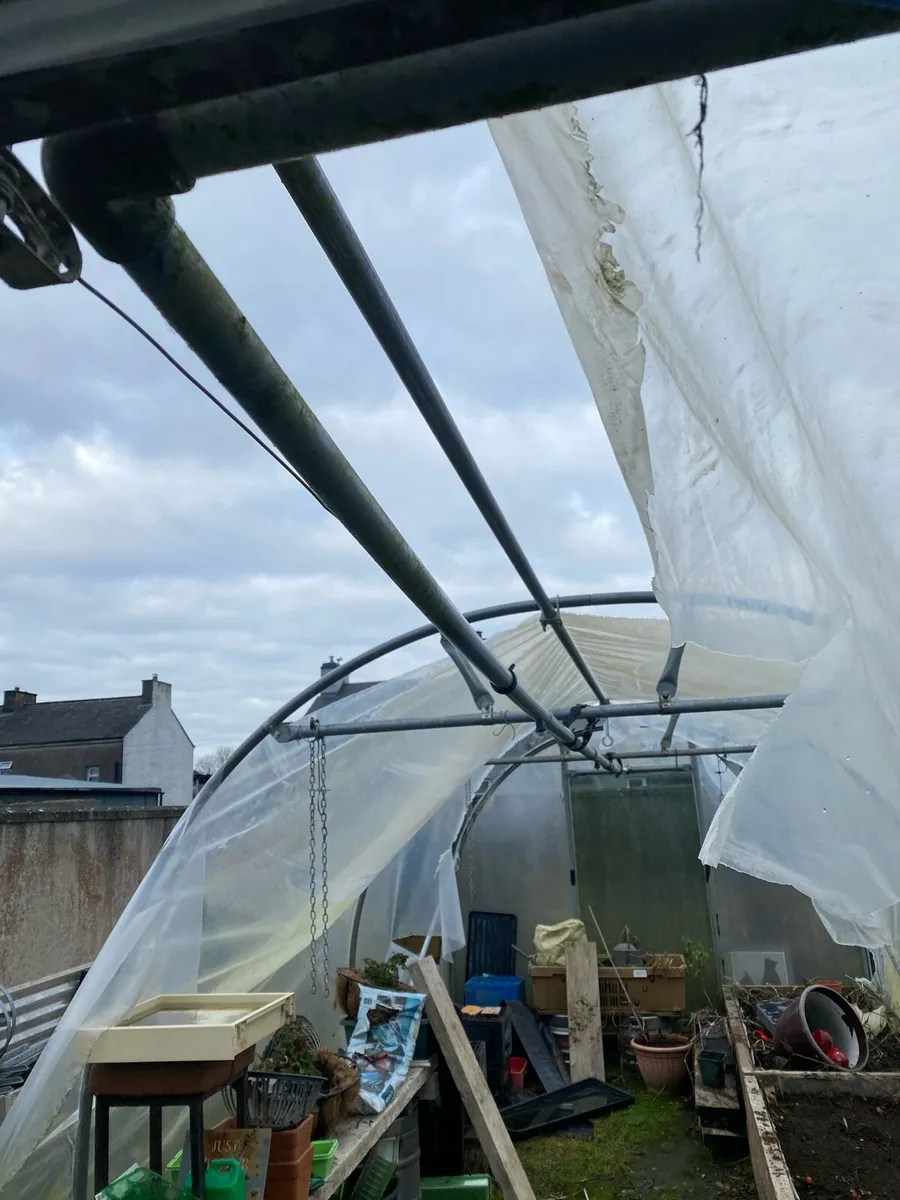 Polytunnel - Image 3