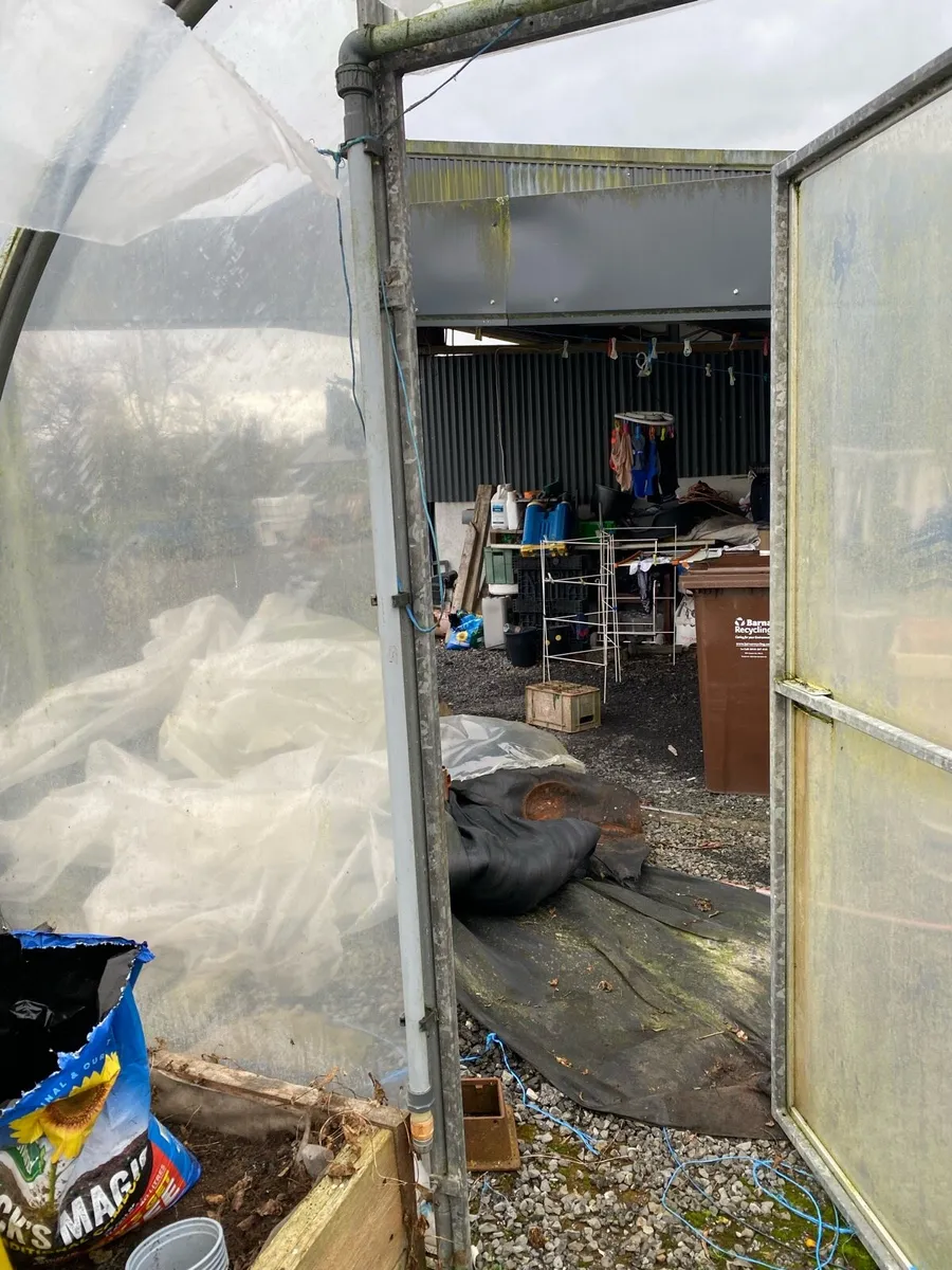 Polytunnel - Image 4