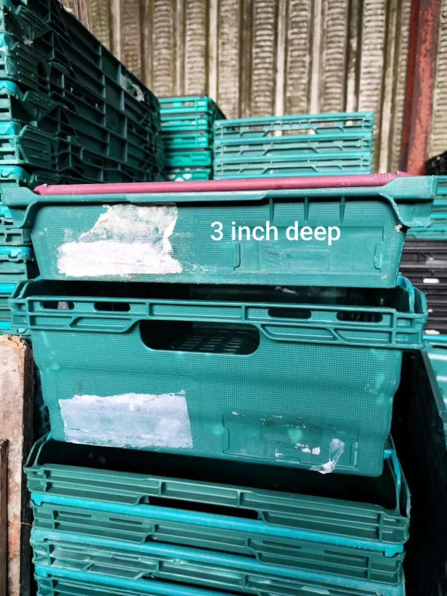 Plastic stacking box crates - Image 1