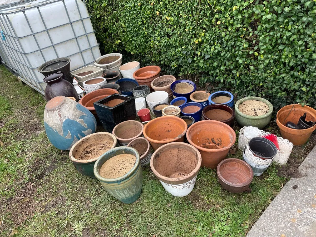 Flower pot bundles €80 together - Image 1