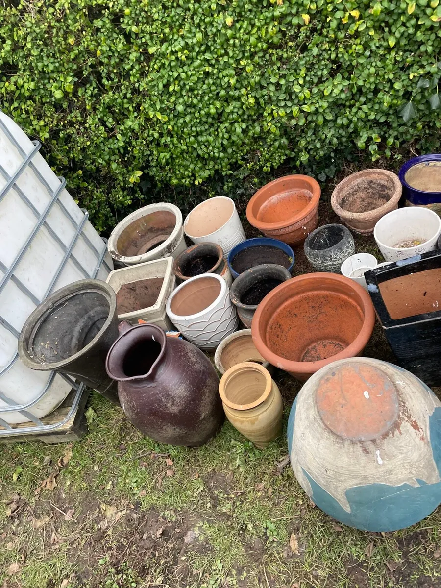 Flower pot bundles €80 together - Image 2