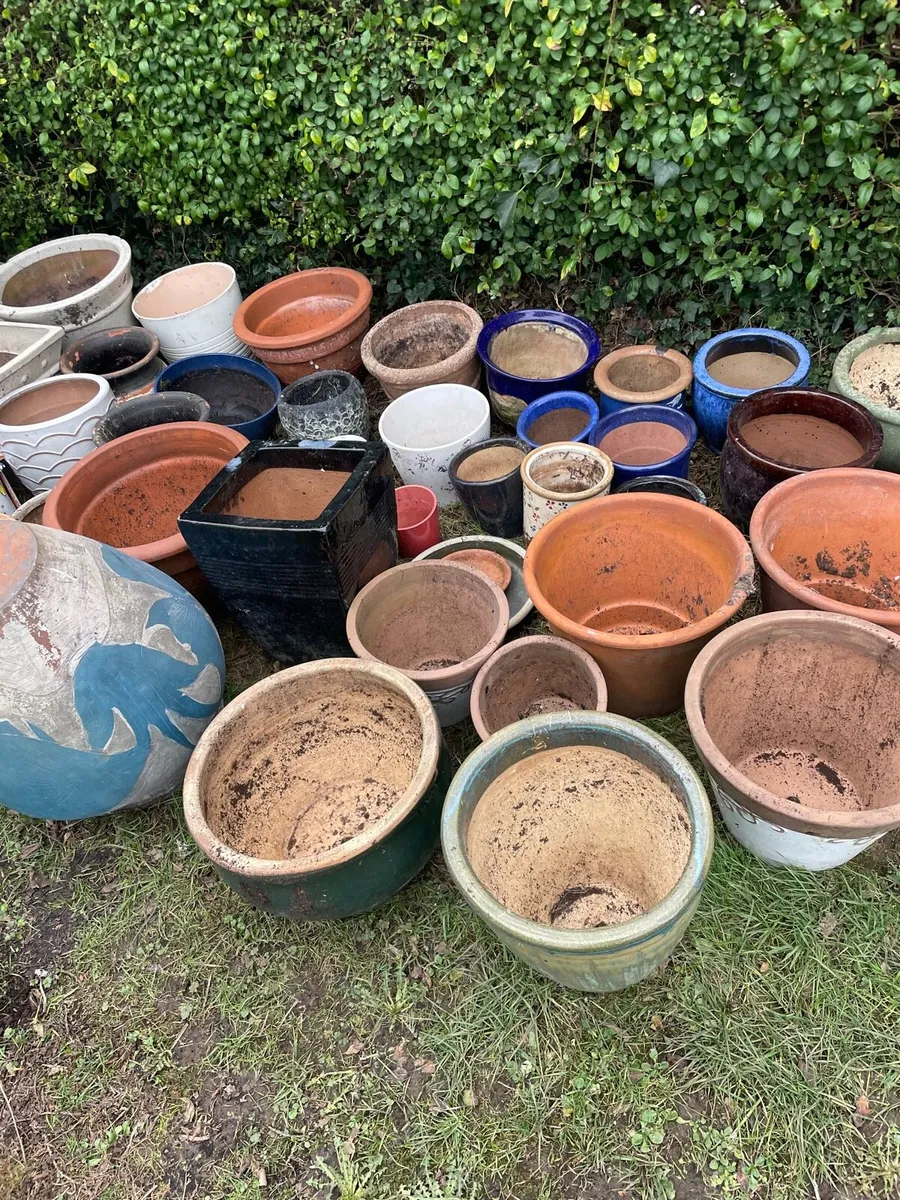 Flower pot bundles €80 together - Image 4