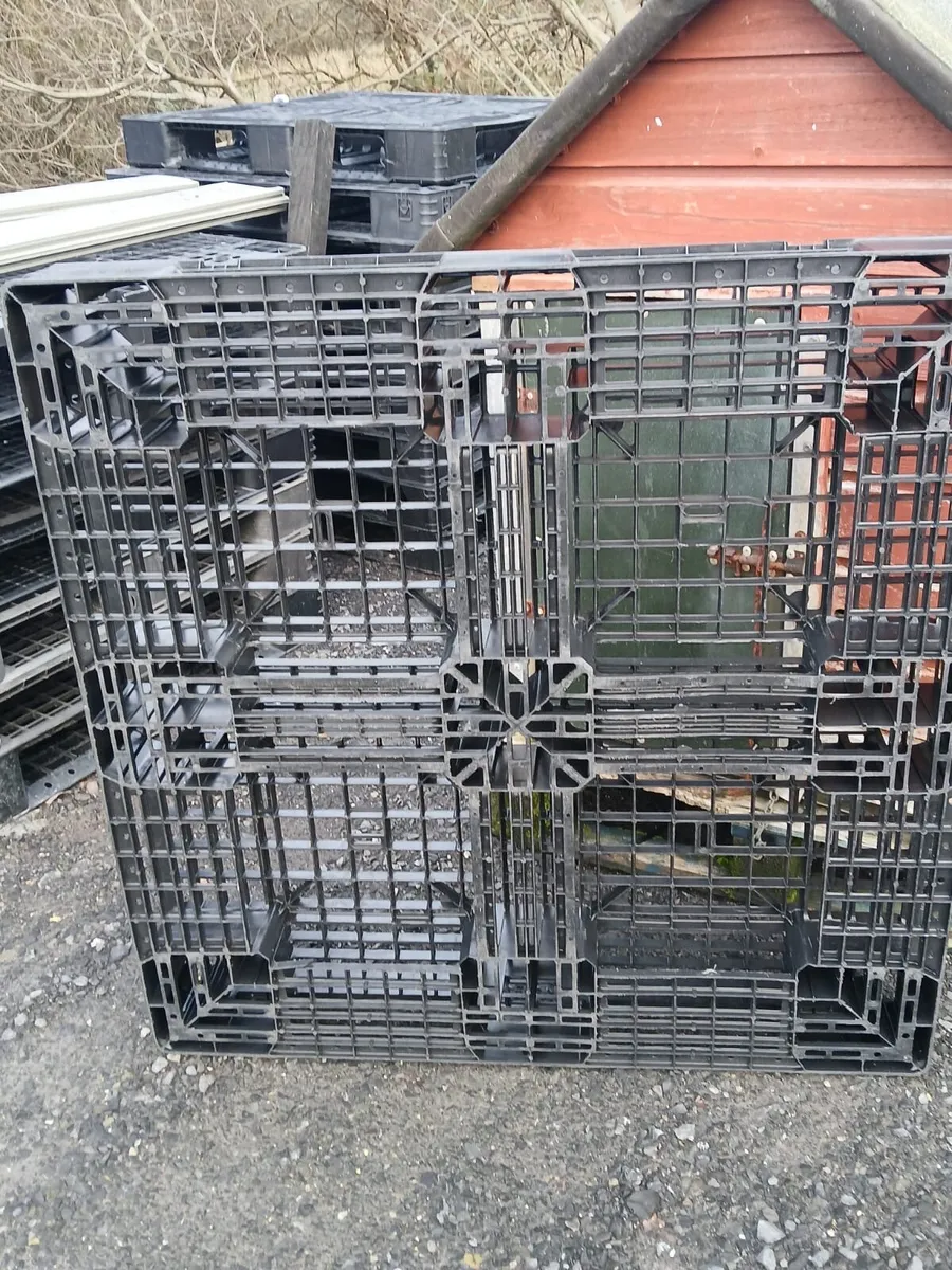 Plastic Pallets - Image 2
