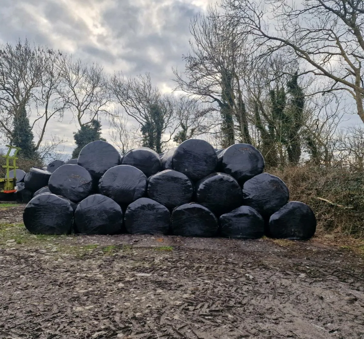 Round Bales - Image 1