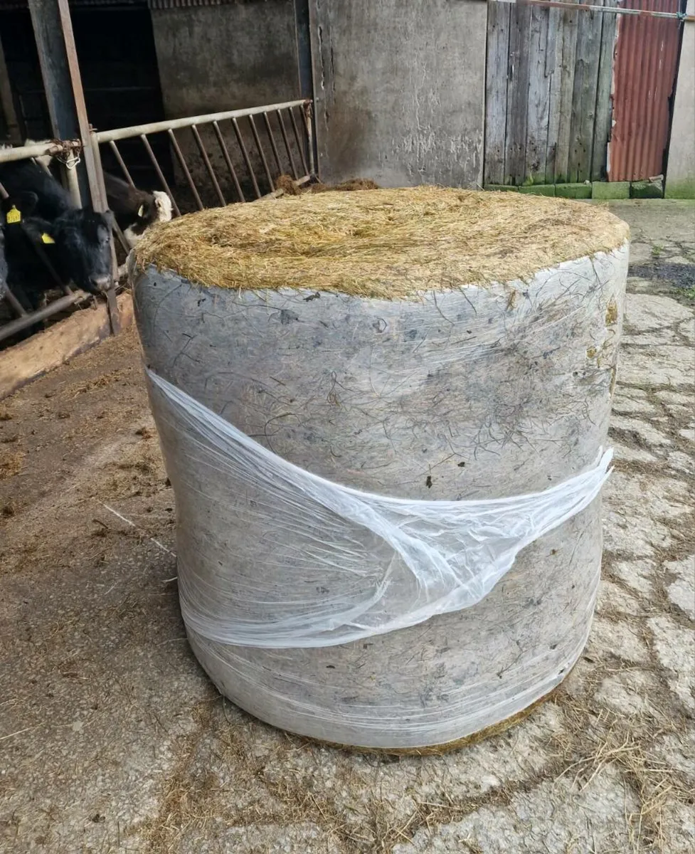 Round Bales - Image 2