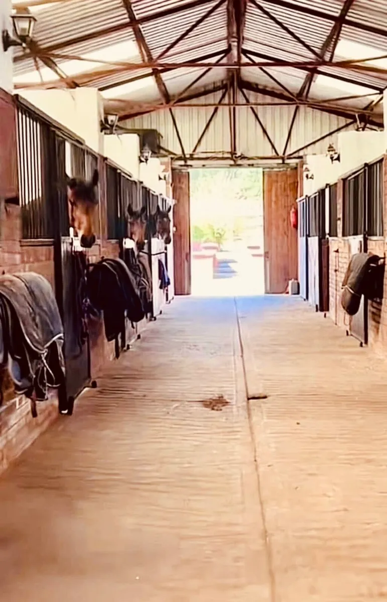 Stable barn to rent with top class facilities - Image 4
