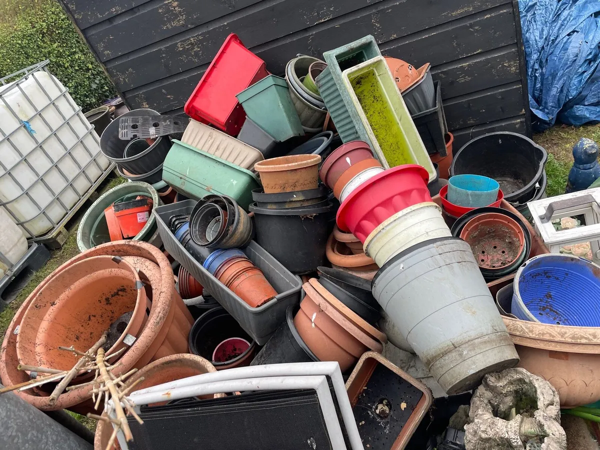 Plastic plant pot bundle €50 - Image 2