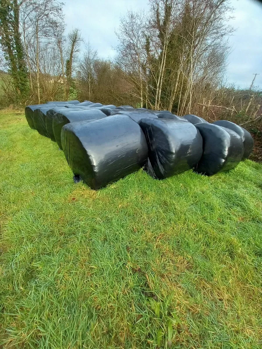 27 bales of silage - Image 1
