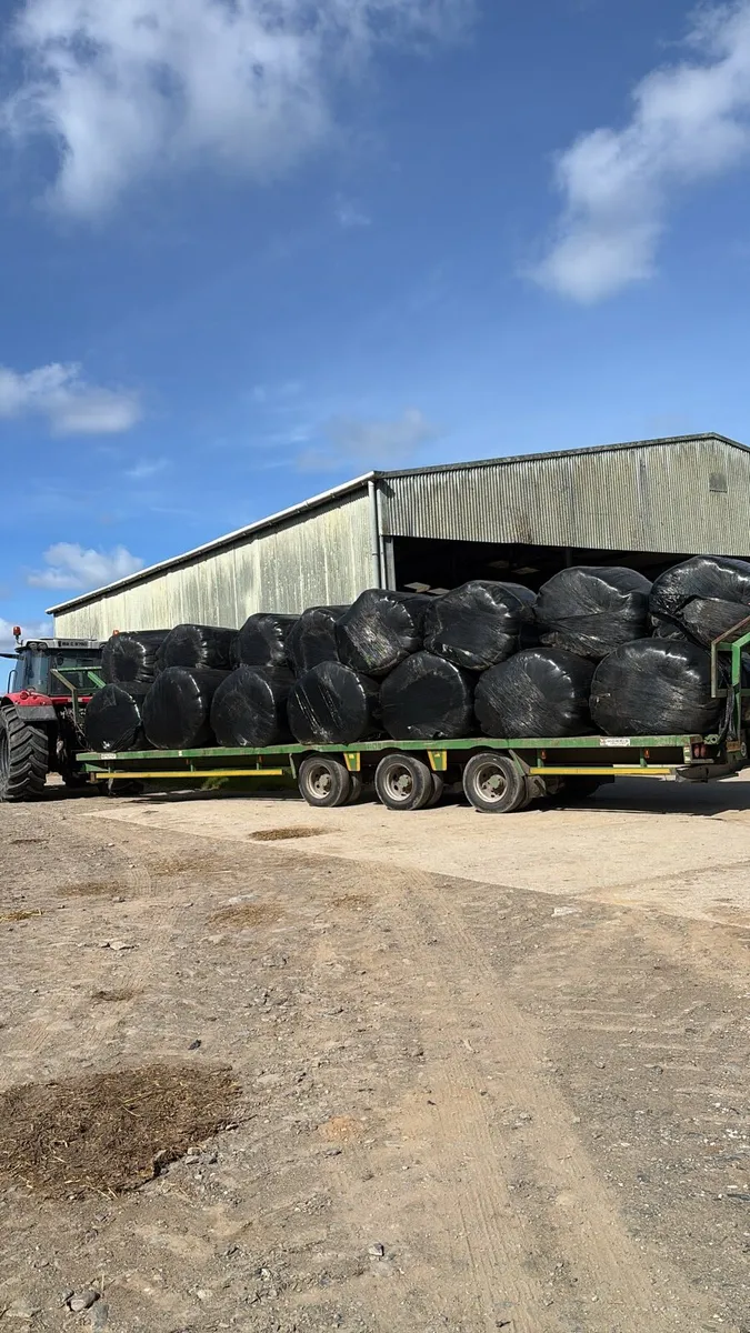 Silage bales - Image 2