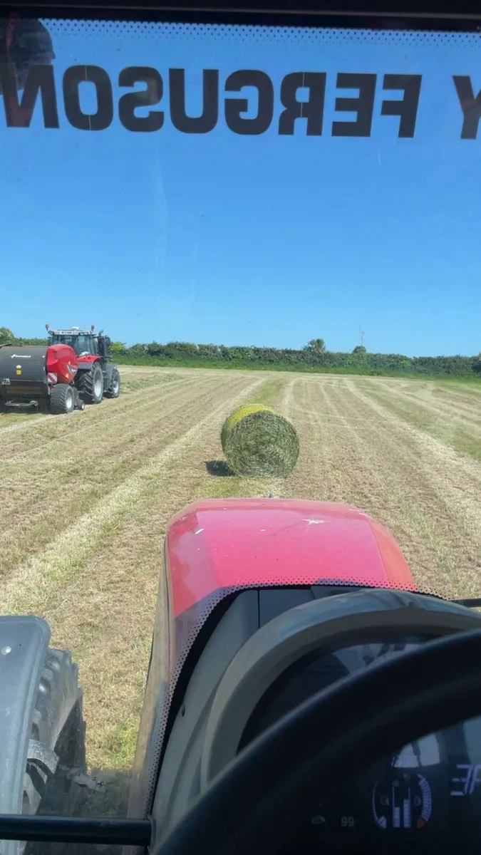 Silage bales - Image 3