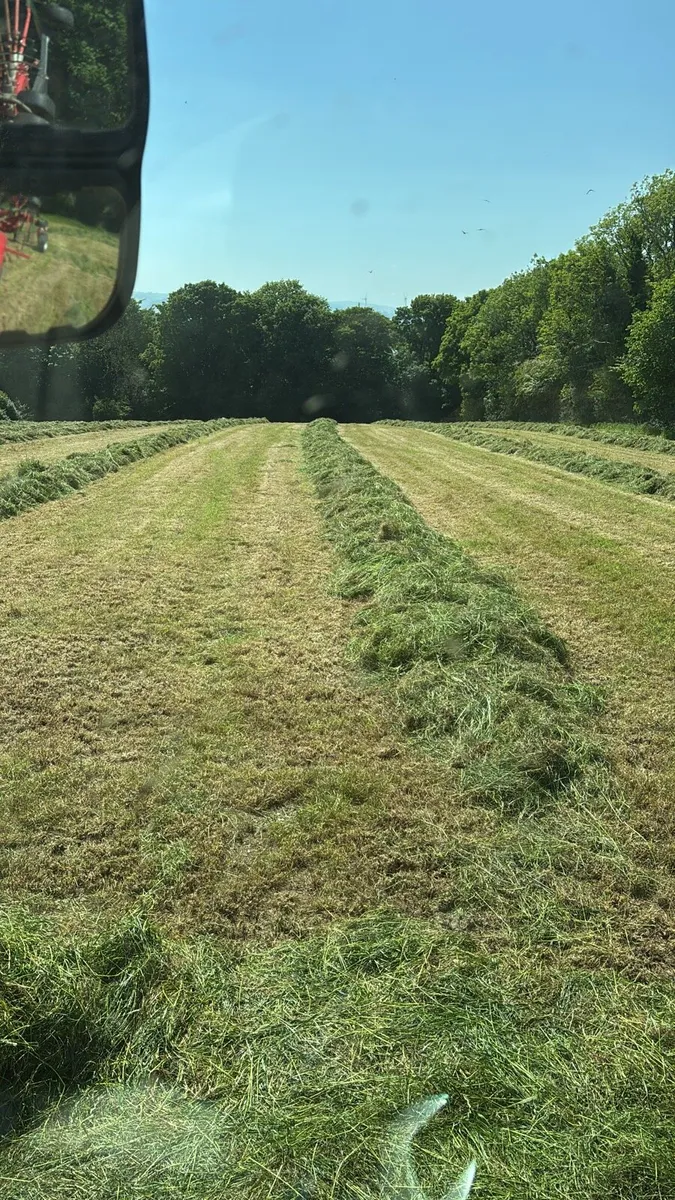 Silage bales - Image 4