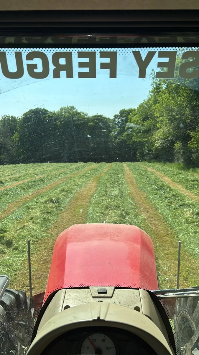 Silage bales - Image 1