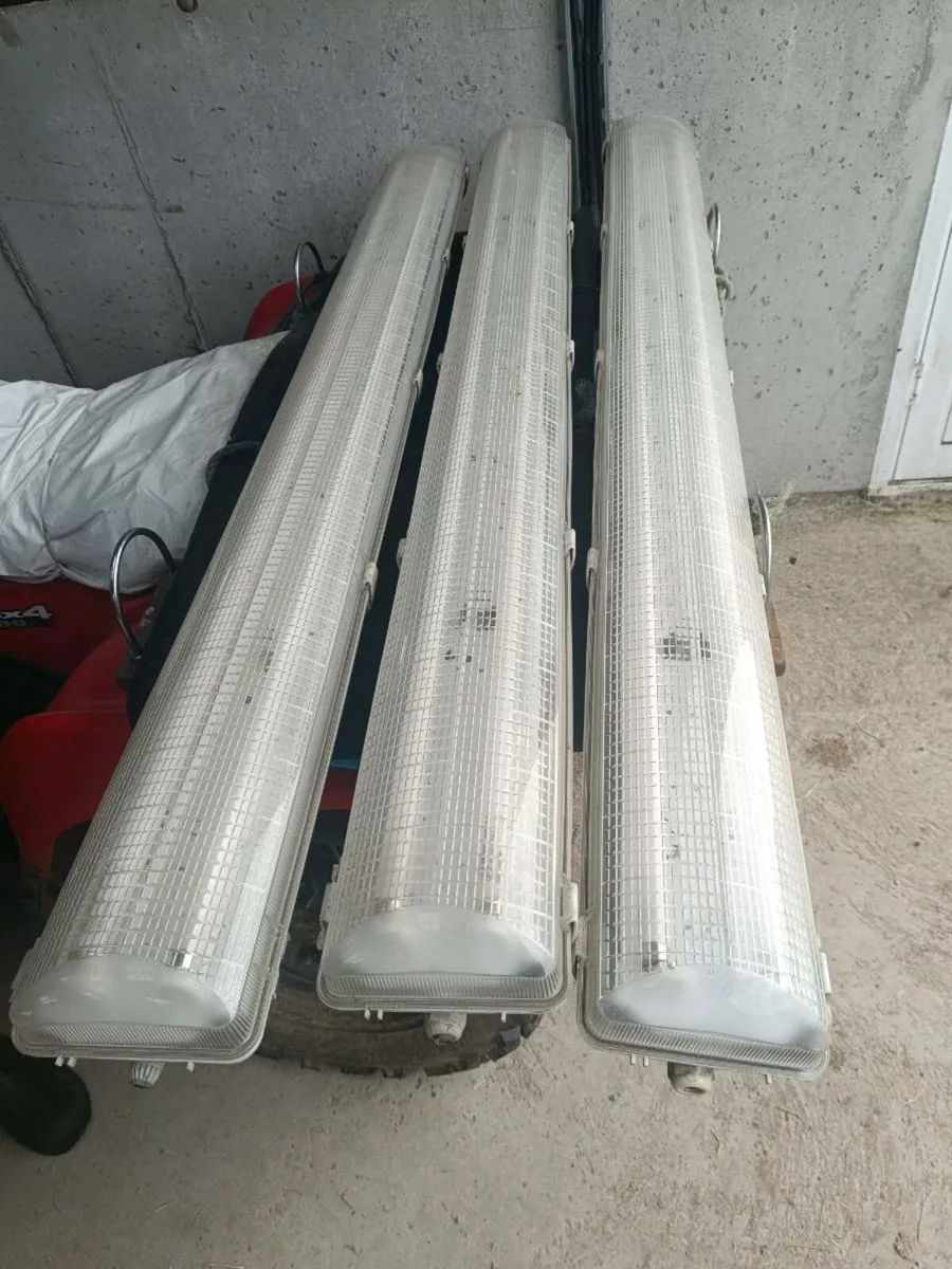 3 x Fluorescent Lamps and Bulbs - Image 1