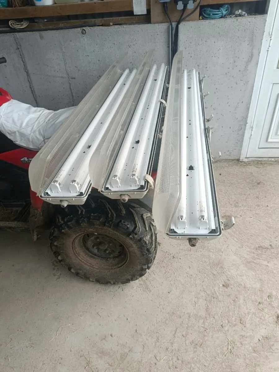 3 x Fluorescent Lamps and Bulbs - Image 2