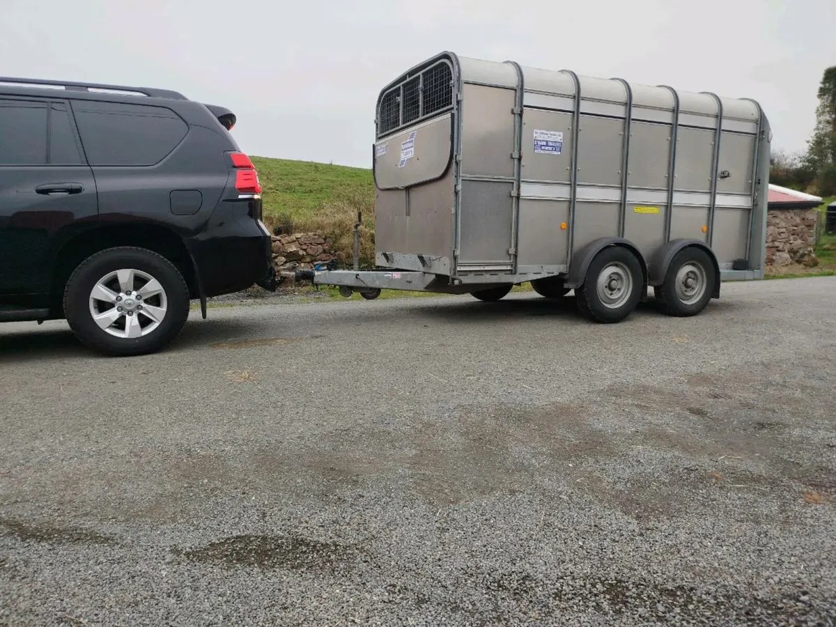 Ifor Williams 12ft MINT CONDITION - Image 1