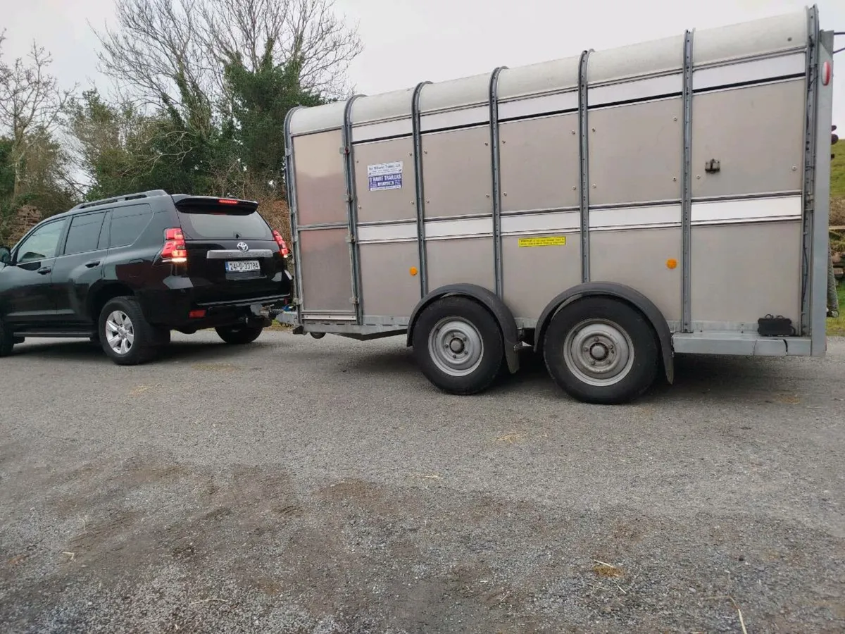 Ifor Williams 12ft MINT CONDITION - Image 2