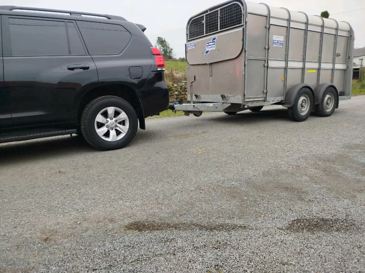 Ifor Williams 12ft MINT CONDITION - Image 3