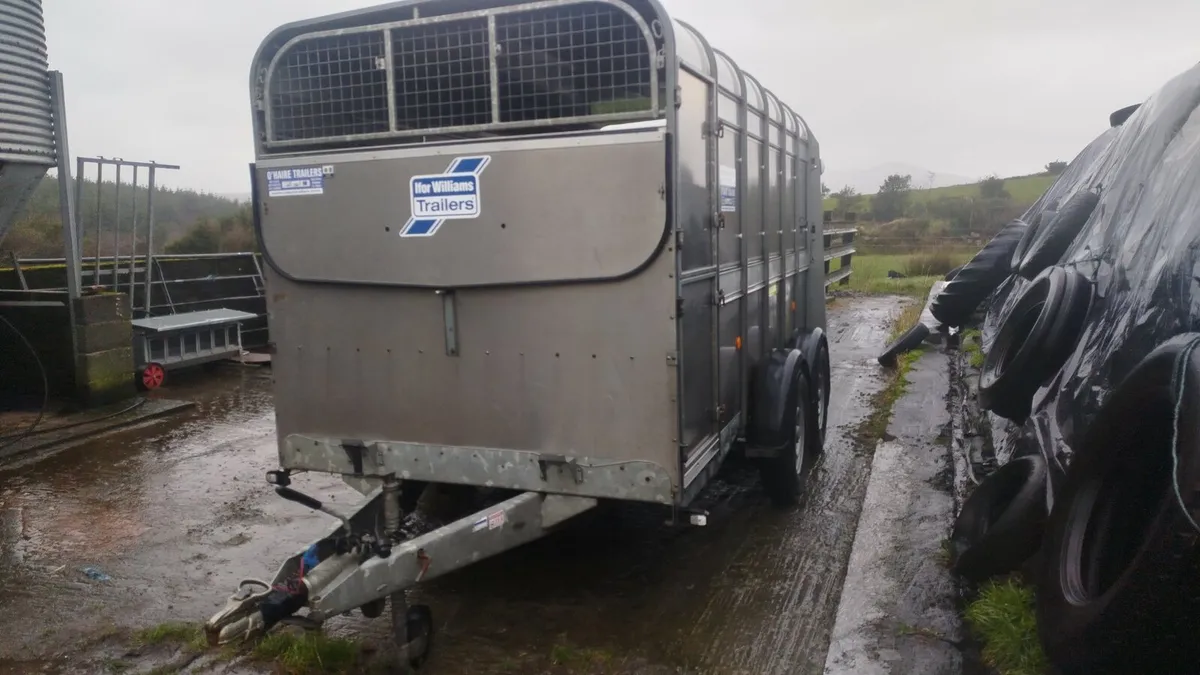 Ifor Williams 12ft MINT CONDITION - Image 4