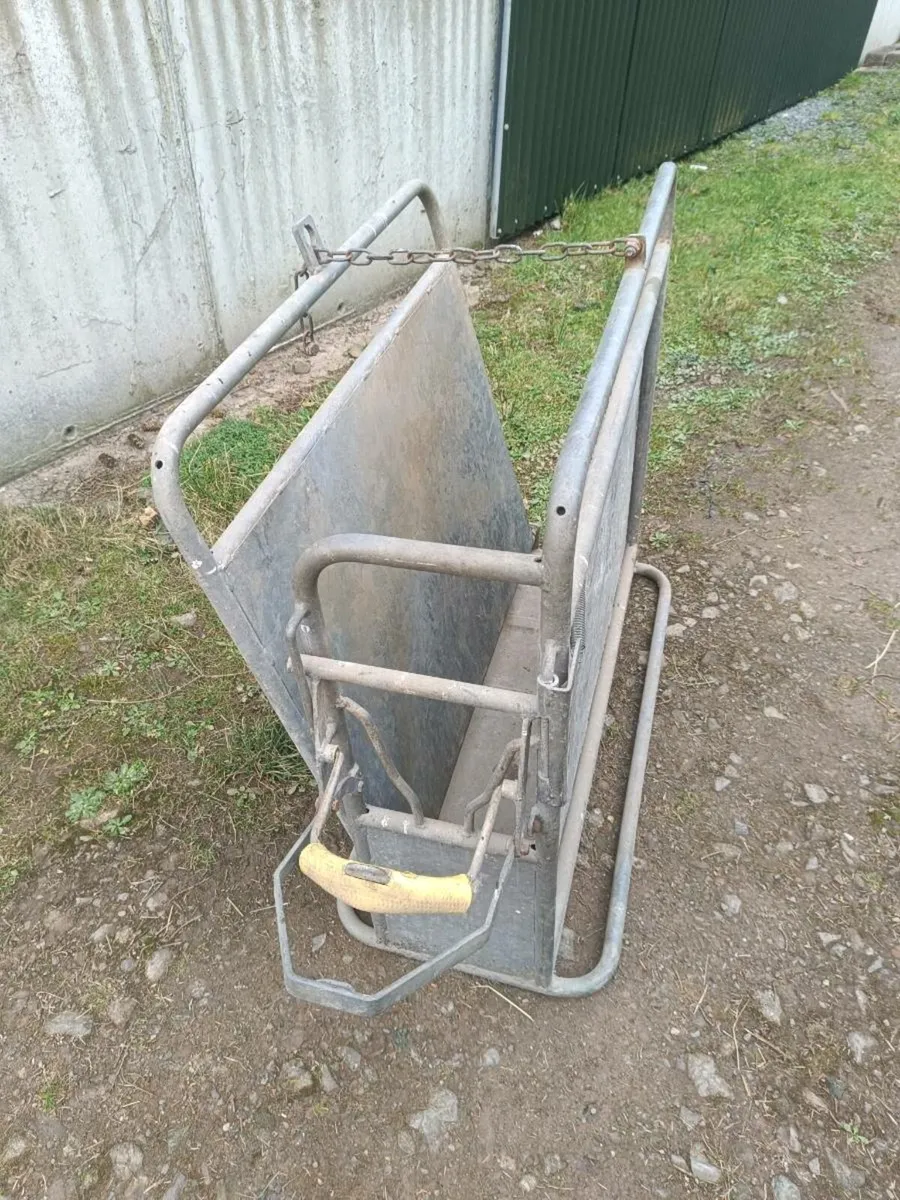Calf Dehorning Crate - Image 1