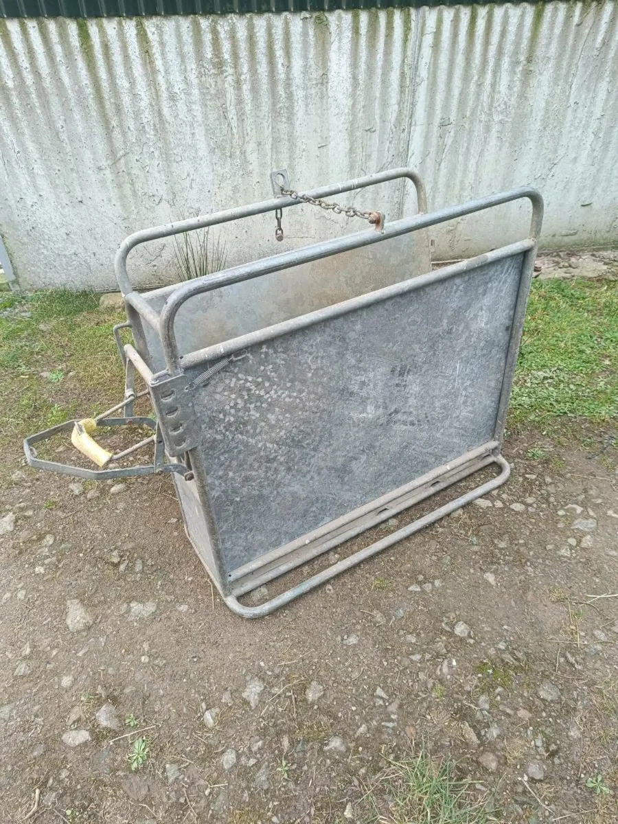 Calf Dehorning Crate - Image 2