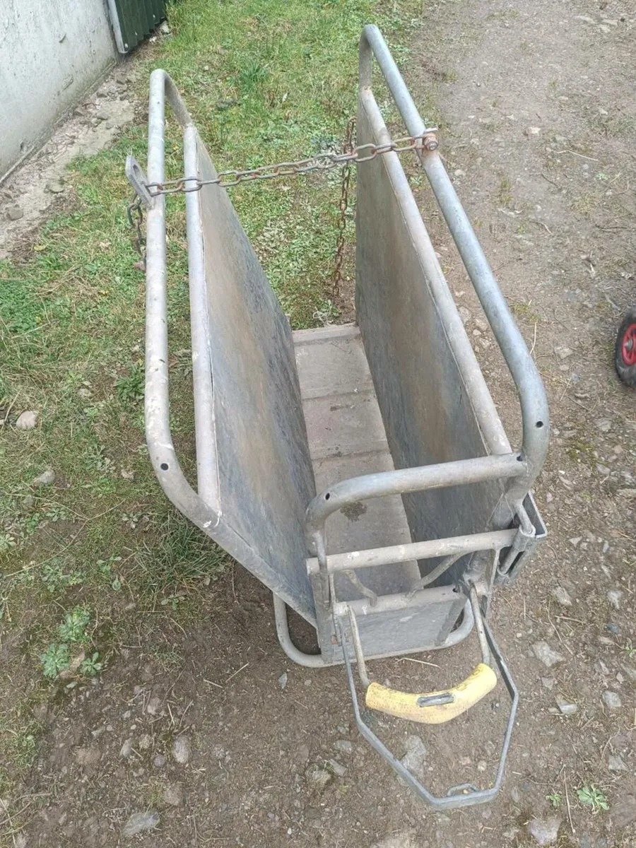 Calf Dehorning Crate - Image 4