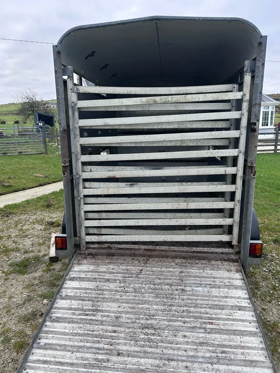 Ifor Williams 8ft by 5 ft sheep/cattle trailer - Image 4