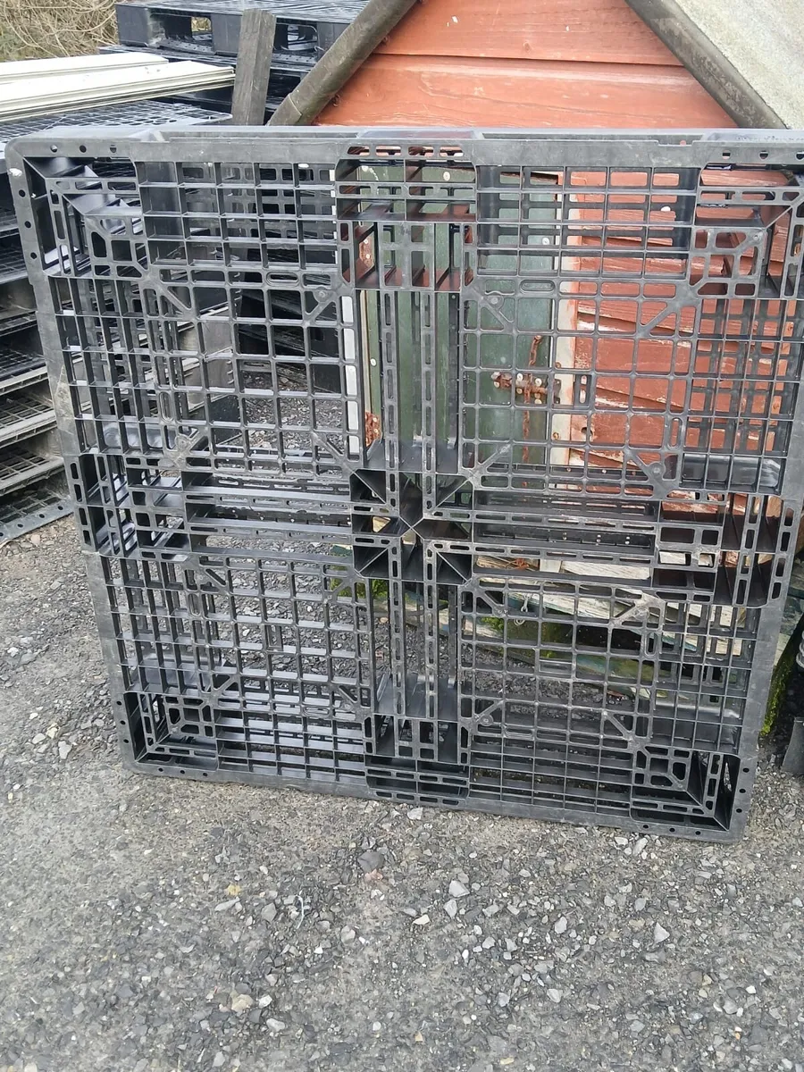 Plastic Pallets - Image 2