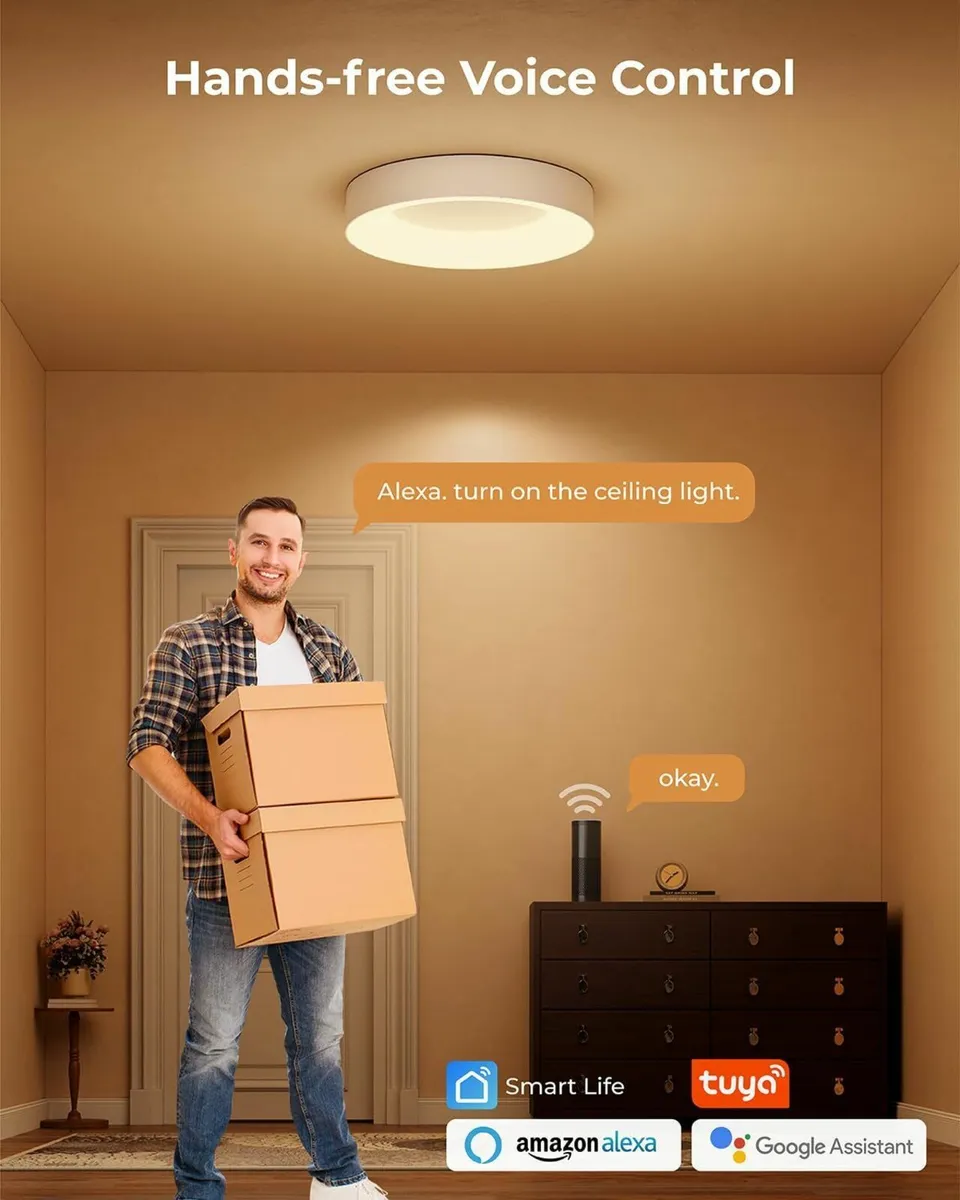 Smart Ceiling Light RGB with Remote Control 24W - Image 3