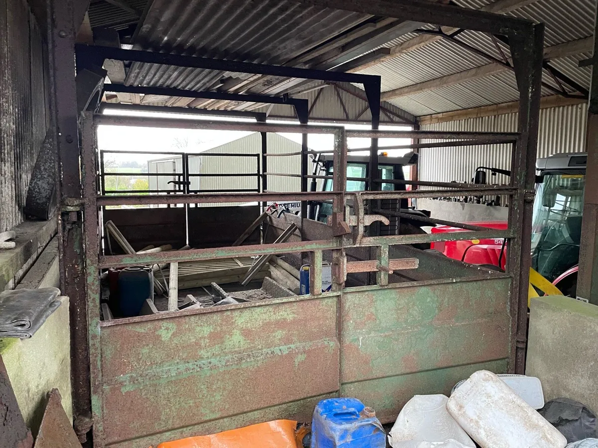 Livestock Weighbridge - Image 1