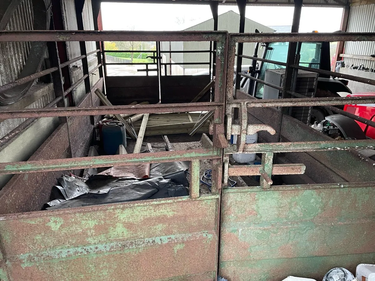 Livestock Weighbridge - Image 2
