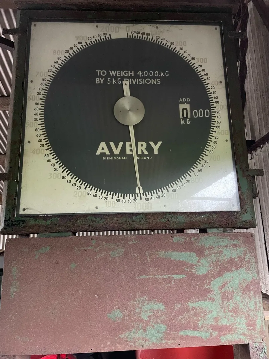Livestock Weighbridge - Image 3