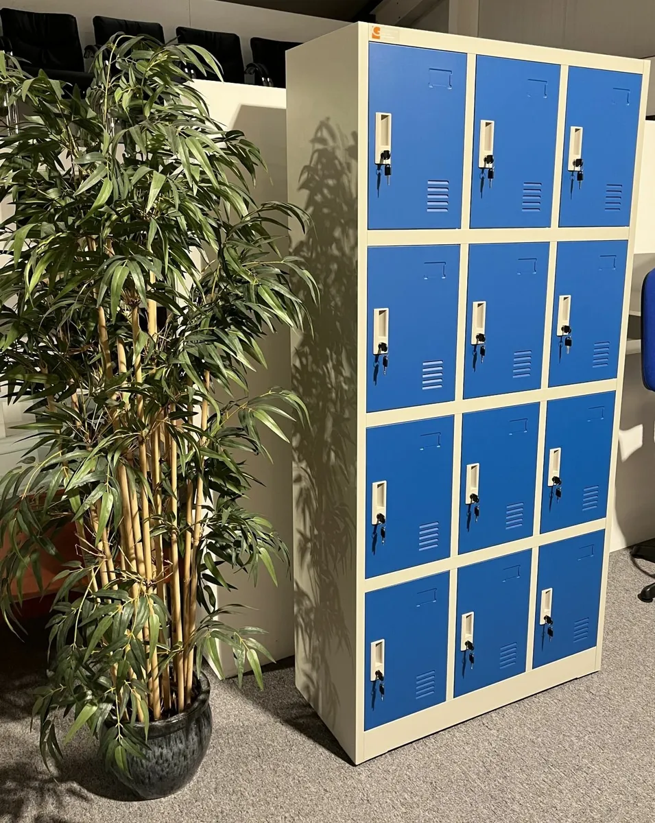 Secure 12-Compartment Locker - Image 1