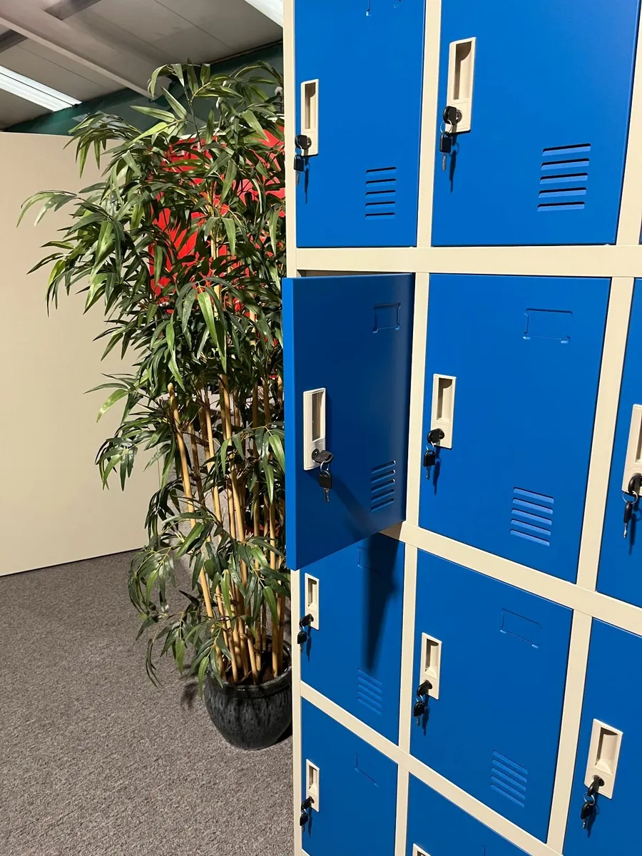 Secure 12-Compartment Locker - Image 4