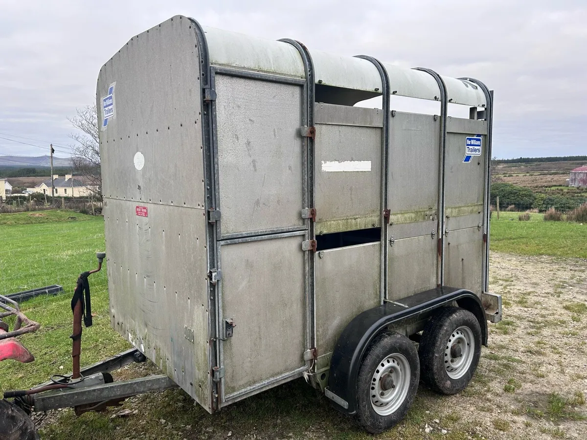 Ifor Williams 8ft by 5 ft sheep/cattle trailer - Image 1
