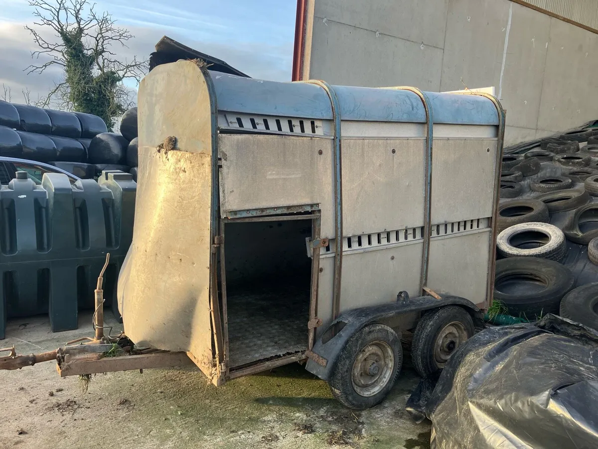Cattle trailer - Image 4