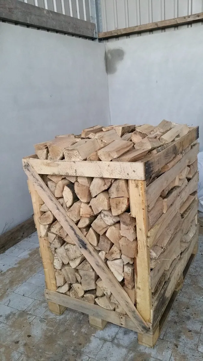 Kiln dried Ash Firewood - Image 3