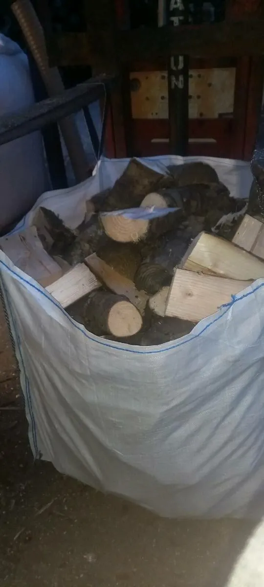 Suirside Firewood - Image 4